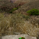 Illustration for article titled Grand Canyons Green Jeep Tours